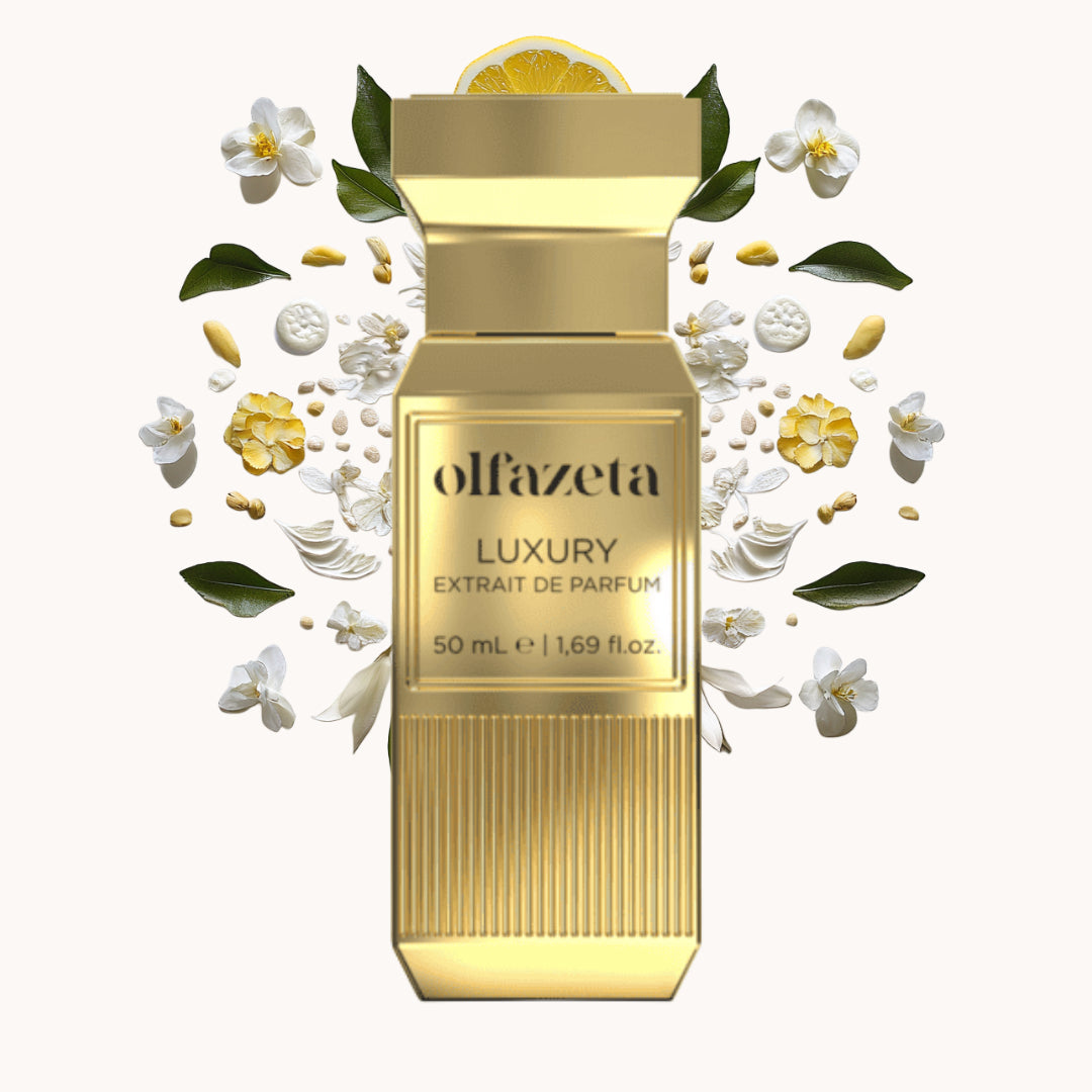 chogan 126 olfazeta perfume